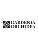 Ceramiche Gardenia Orchidea